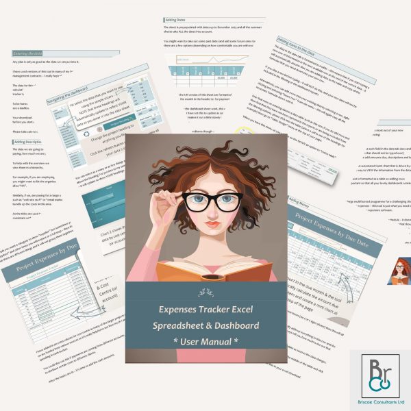 PMO Spreadsheet Template Bundle - Image 15